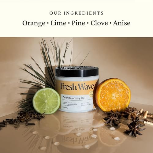 Fresh Wave Orange Odor Removing Gel 15 oz Pack of 2