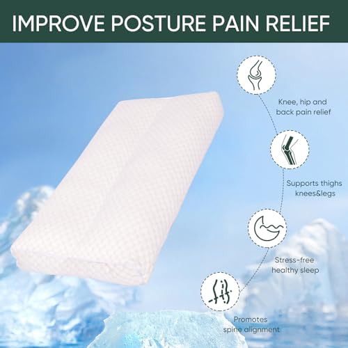 FOUXTEL Cool Knee Pillow for Side Sleepers