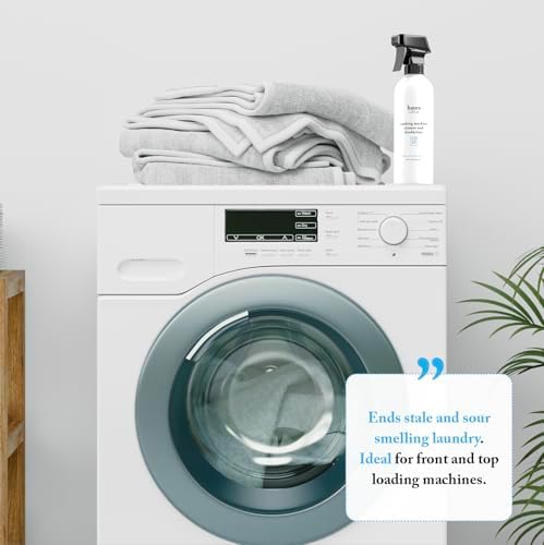Bayes Washing Machine Cleaner Deodorizer 24 oz 2 Pack
