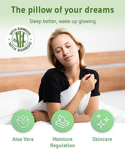 Third of Life NuMOON Cervical Pillow with Aloe Vera