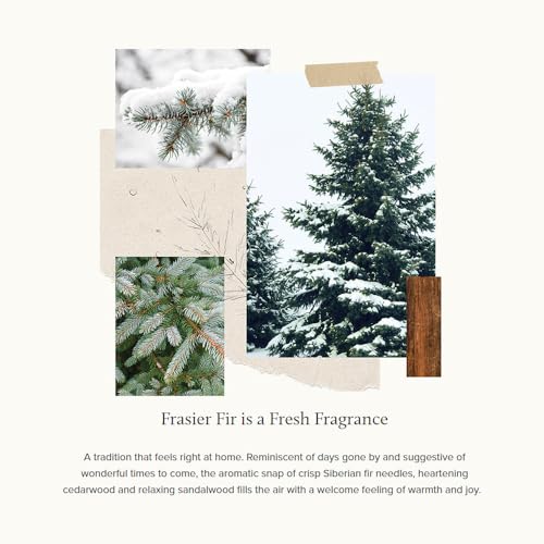 Thymes Soft Surface Scrub - Frasier Fir 115 Fl Oz