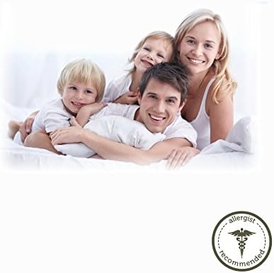 AllerEase Hypoallergenic Euro Pillow 3-Year Warranty Pack of 2