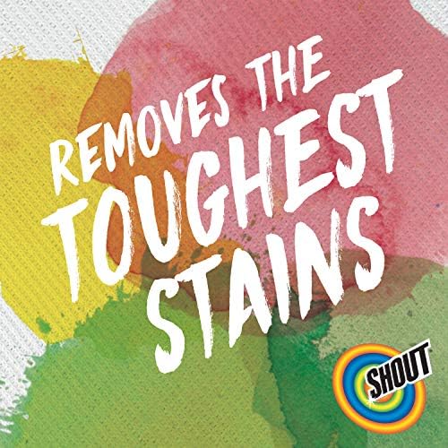 Shout Advanced Stain Remover Gel with Brush 87oz 1