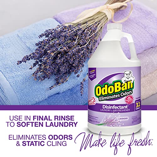 OdoBan Disinfectant 2 Gallons Lavender Scent