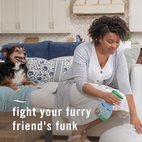 Febreze Pet Odor Fighter Fabric Refresher 169oz Pack of 2