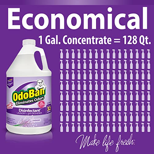 OdoBan Disinfectant 2 Gallons Lavender Scent