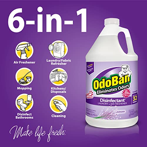 OdoBan Disinfectant 2 Gallons Lavender Scent