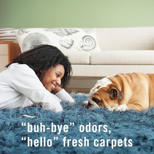 Febreze Fabric Downy Calm Heavy Duty Carpet Rainforest Breeze 2 Pack