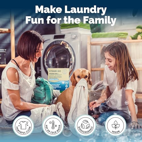 Steam and Go Premium Laundry Detergent Sheets 30 Ct