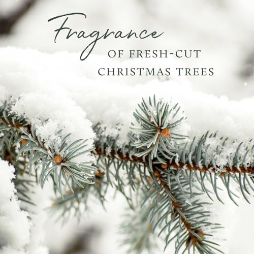 Thymes Soft Surface Scrub - Frasier Fir 115 Fl Oz