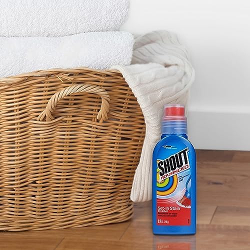 Shout Advanced Stain Remover Gel with Brush 87oz 1