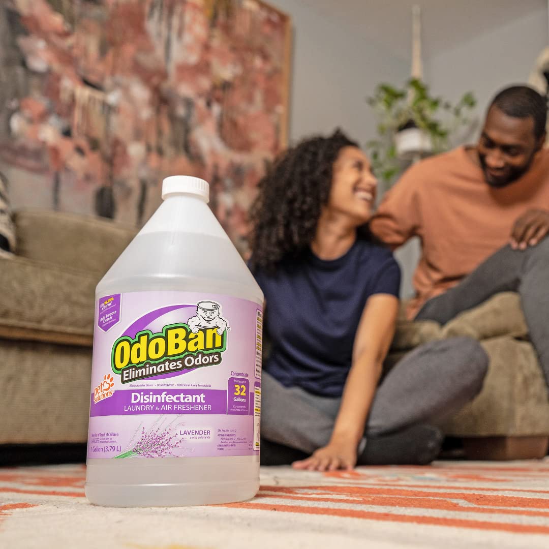 OdoBan Disinfectant 2 Gallons Lavender Scent