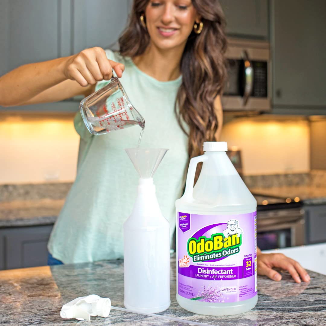 OdoBan Disinfectant 2 Gallons Lavender Scent