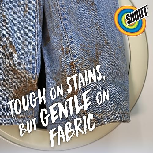 Shout Advanced Stain Remover Gel with Brush 87oz 1