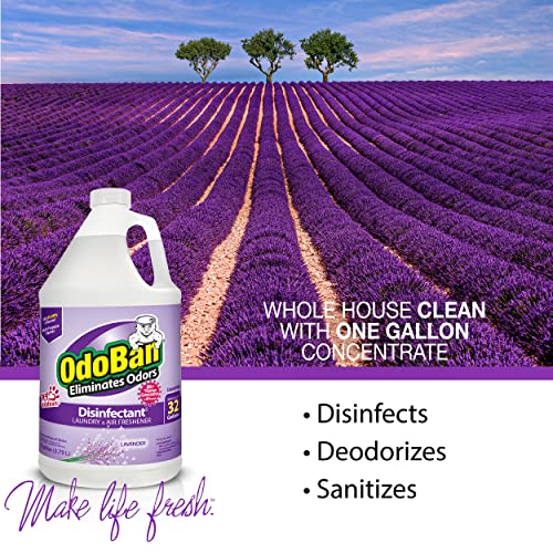 OdoBan Disinfectant 2 Gallons Lavender Scent