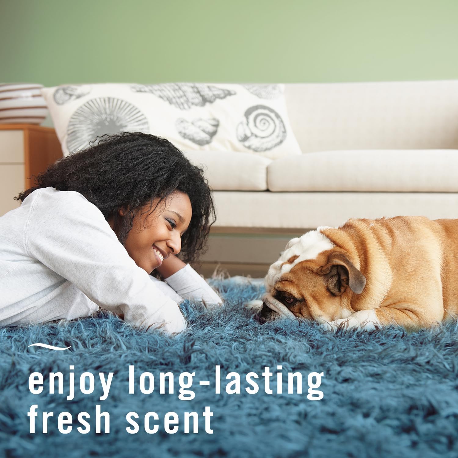 Febreze Pet Odor Fighter Fabric Refresher 169oz Pack of 2