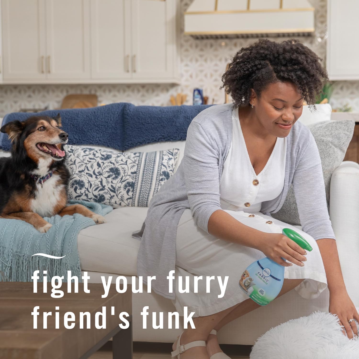 Febreze Pet Odor Fighter Fabric Refresher 169oz Pack of 2