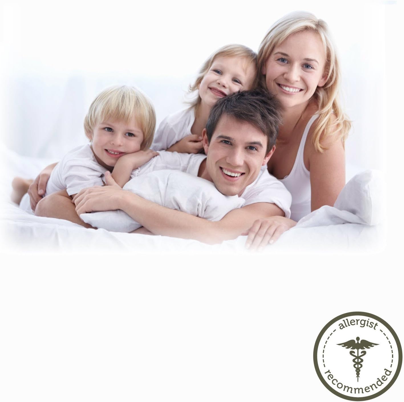 AllerEase Hypoallergenic Euro Pillow 3-Year Warranty Pack of 2