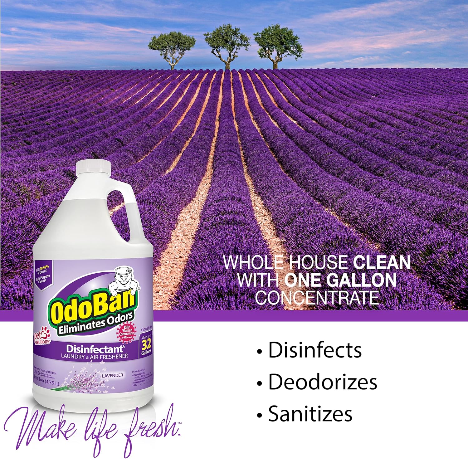 OdoBan Disinfectant 2 Gallons Lavender Scent
